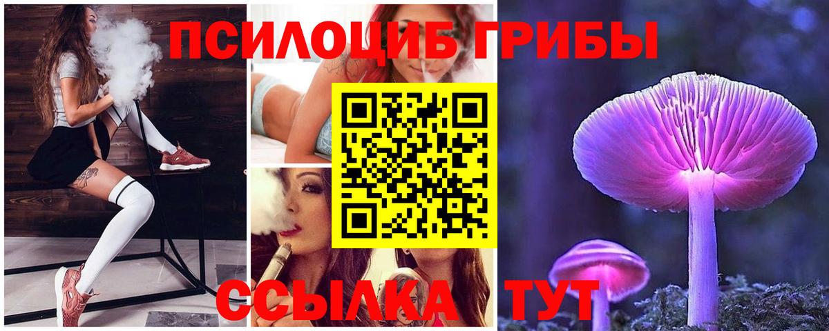 Псилоцибиновые грибы Cubensis Александров